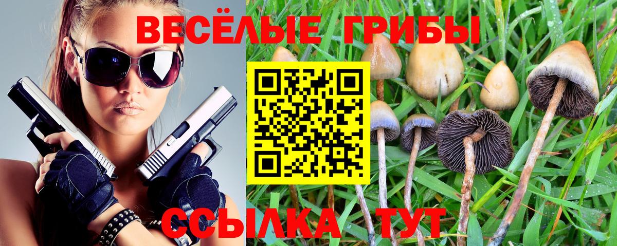 Галлюциногенные грибы MAGIC MUSHROOMS  Вход с VPN  Подольск 