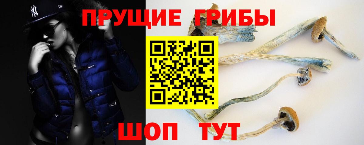 Псилоцибиновые грибы Psilocybine cubensis Подольск